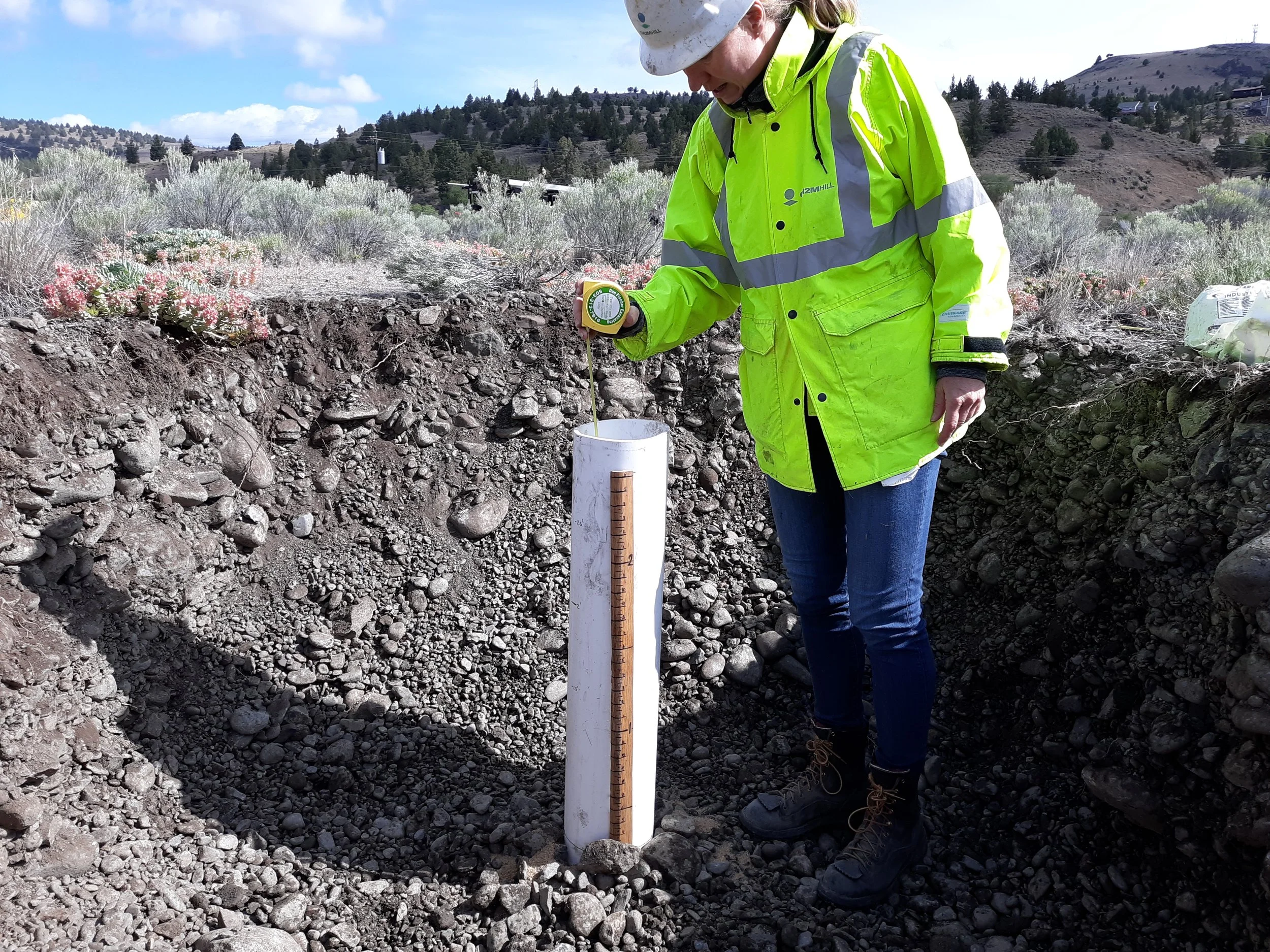 CwM SERVICES — CwM Consultants