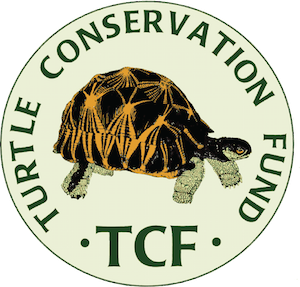 Turtle Conservation Fund