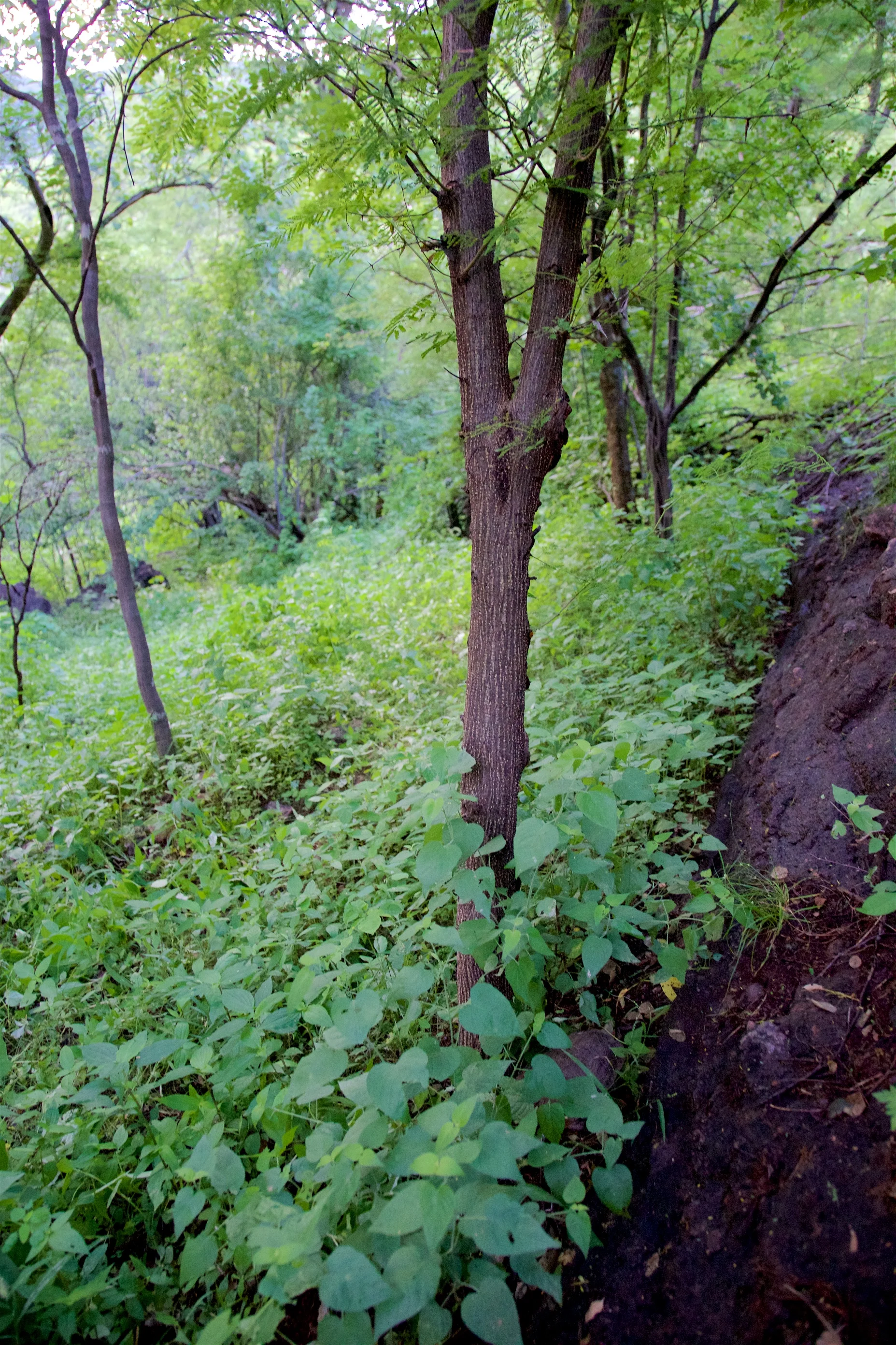 GI1A5584.jpg