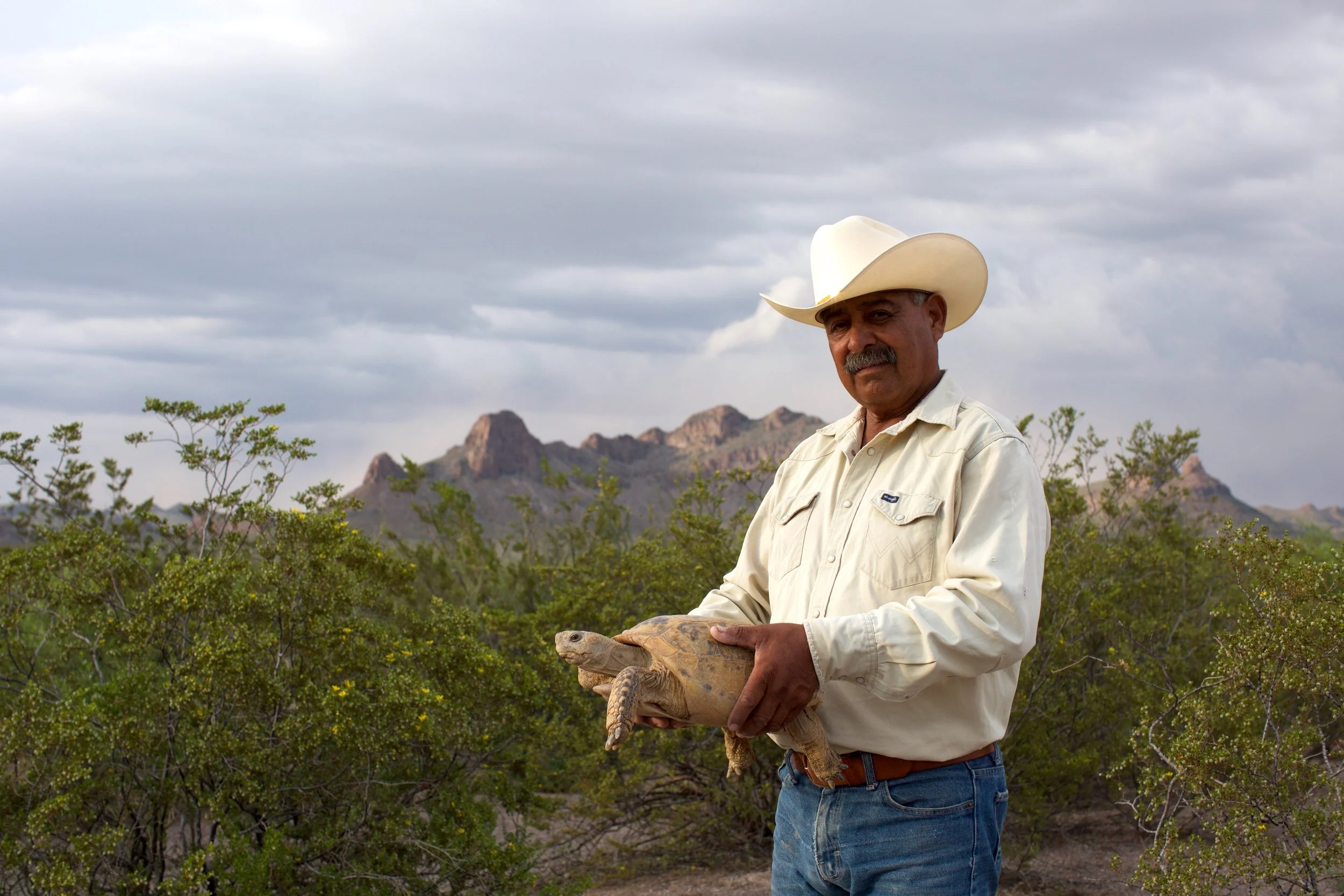 Bolson Tortoise Preserve