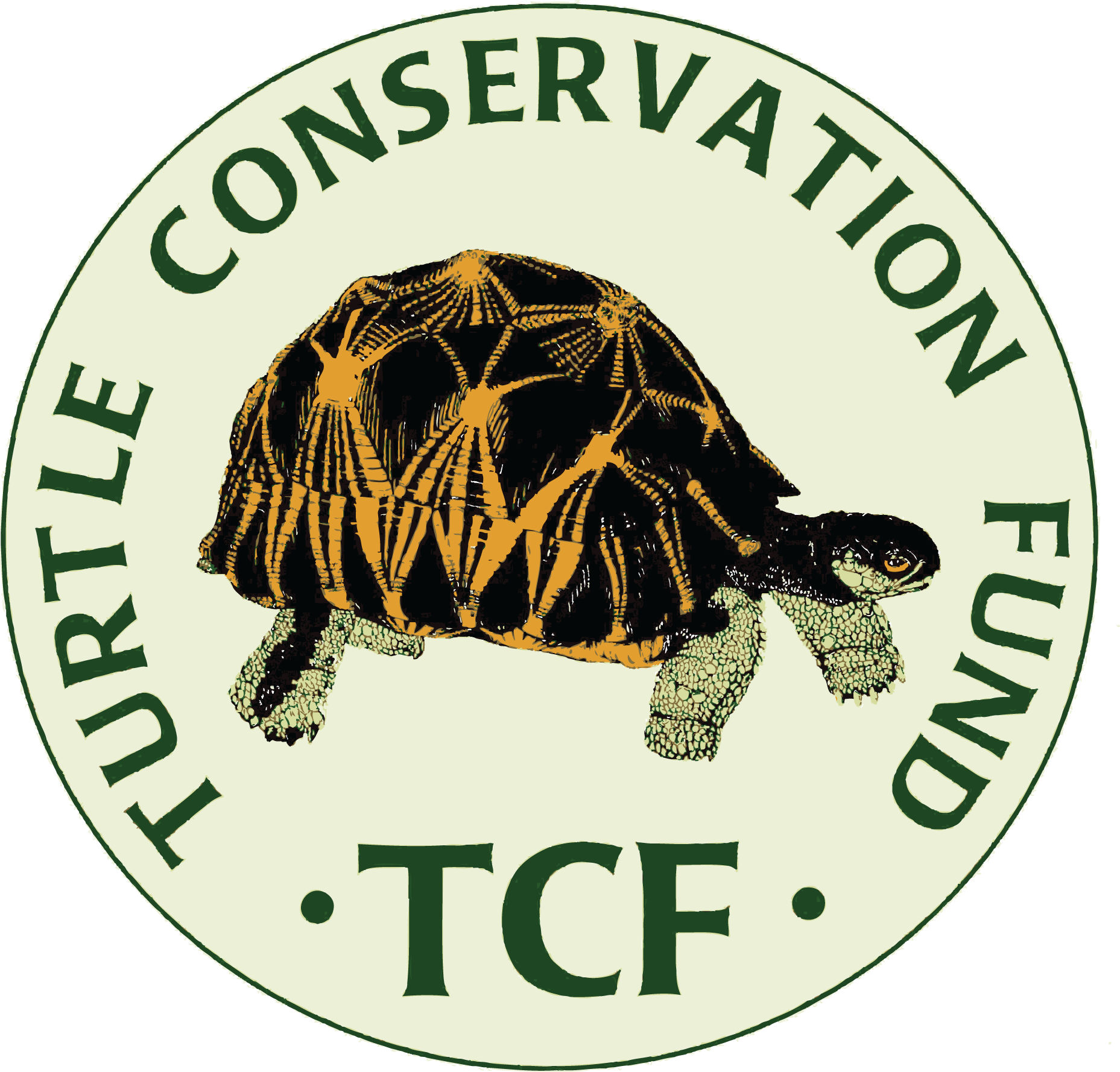 Turtle Conservation Fund