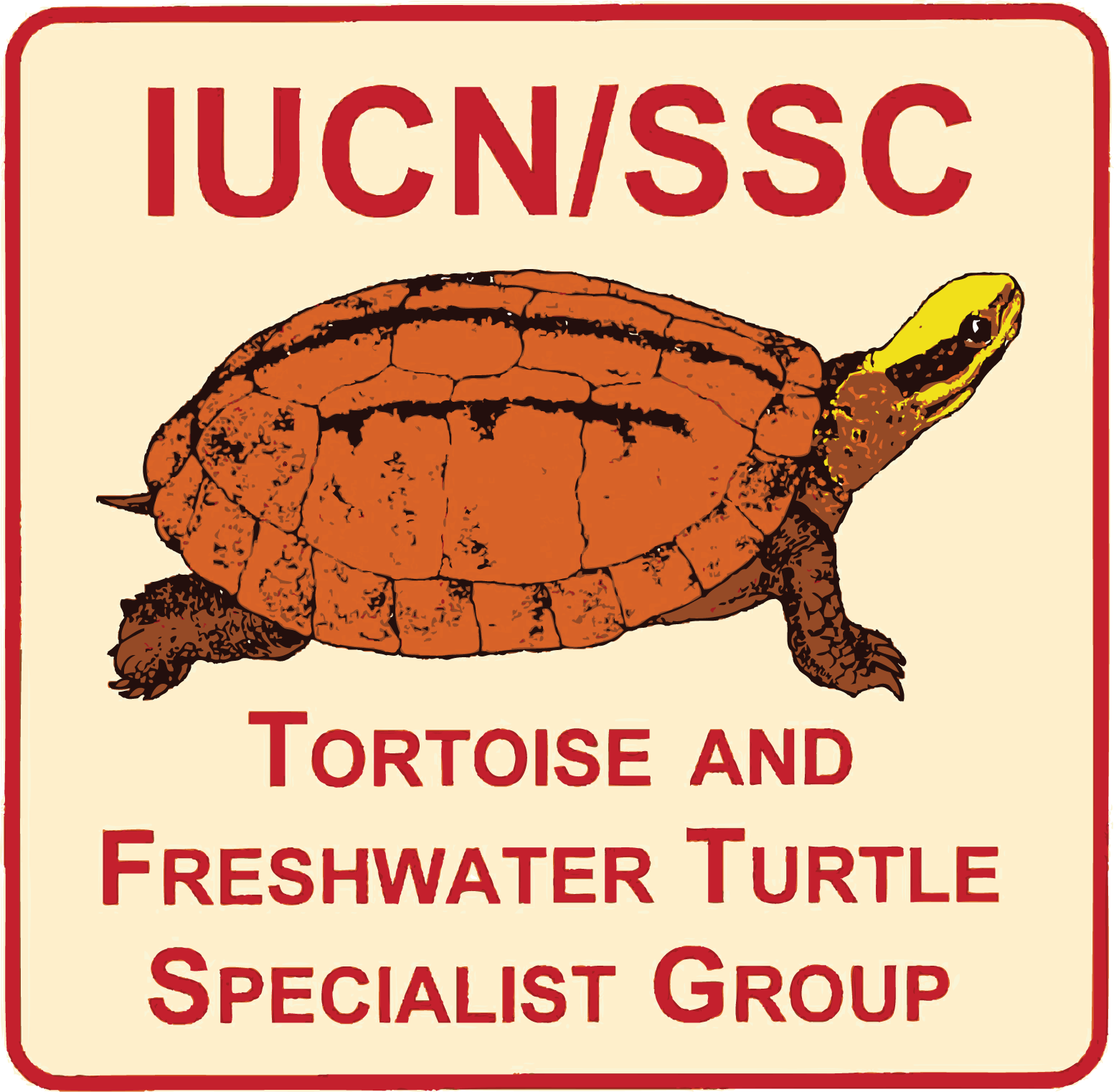 Tortoise and Freshwater Turtle Specialist Group