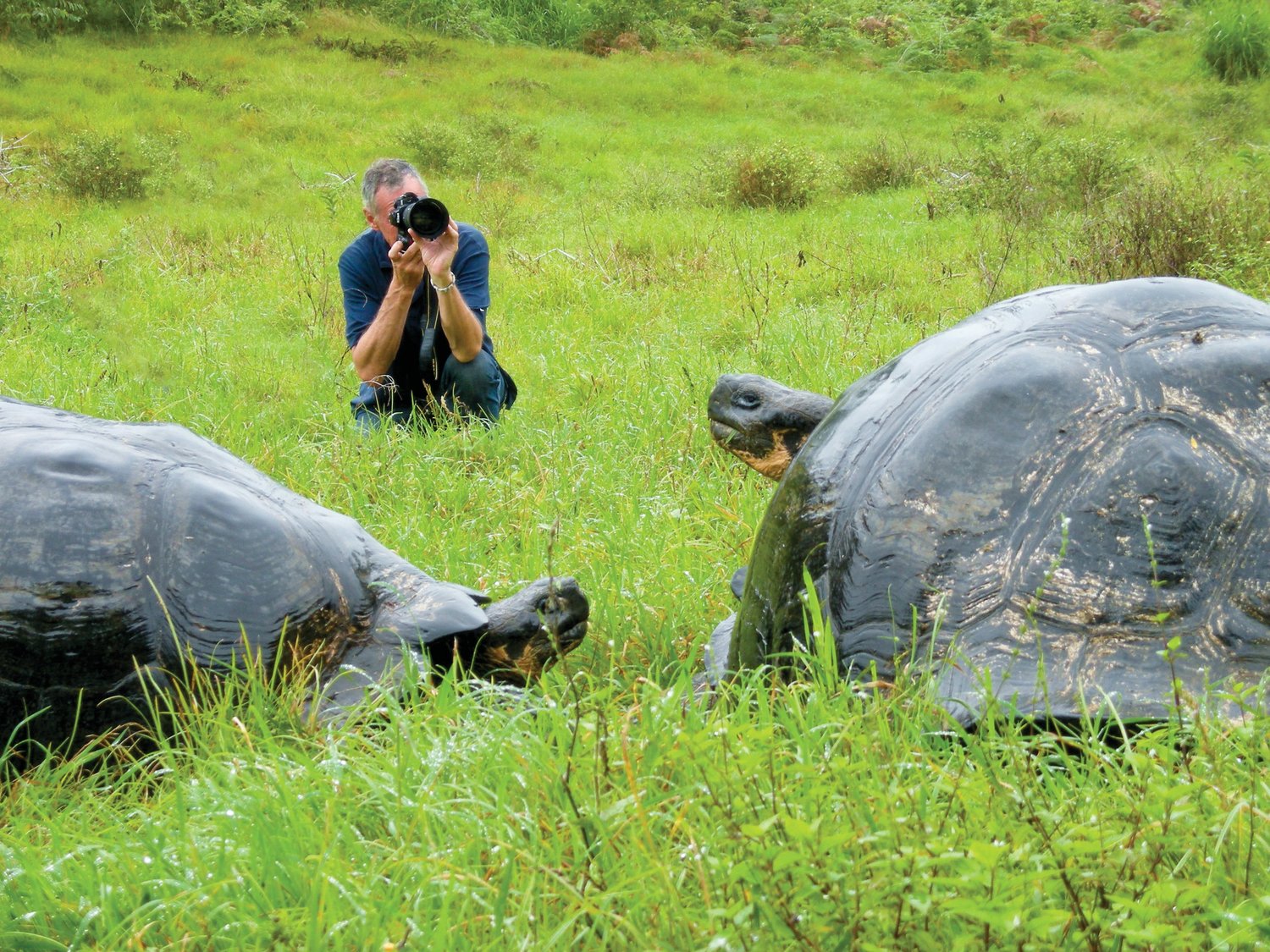 The Islands  Galápagos Conservancy