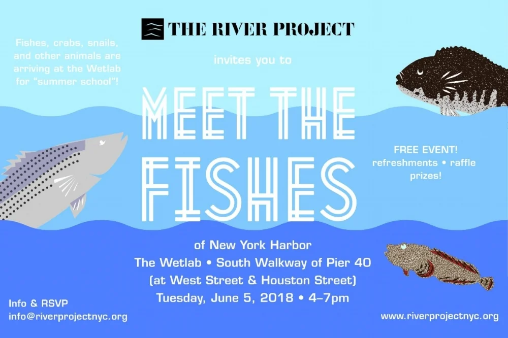 Meet+the+Fishes.jpg