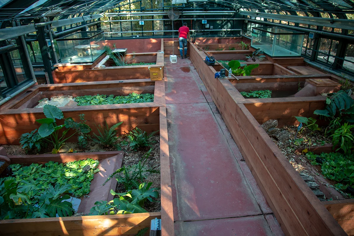 Turtle Conservancy — Conservation Center Improvements