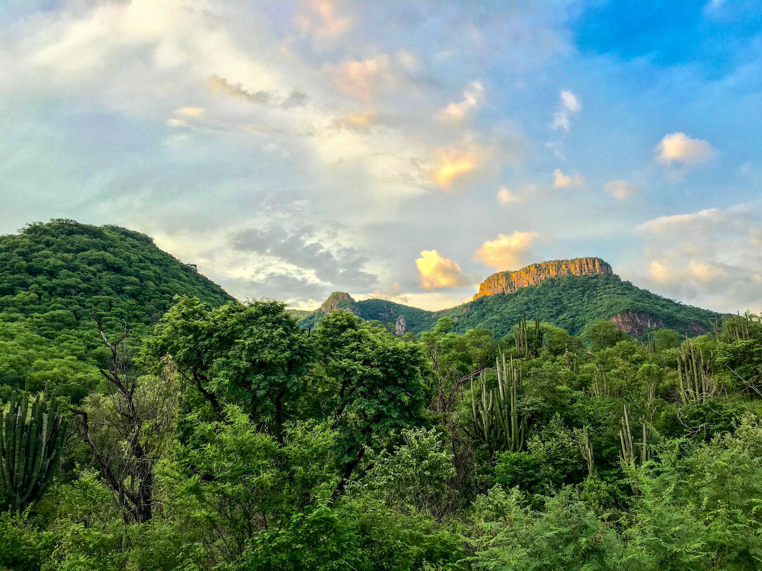 Goode's Thornscrub Tortoise Preserve