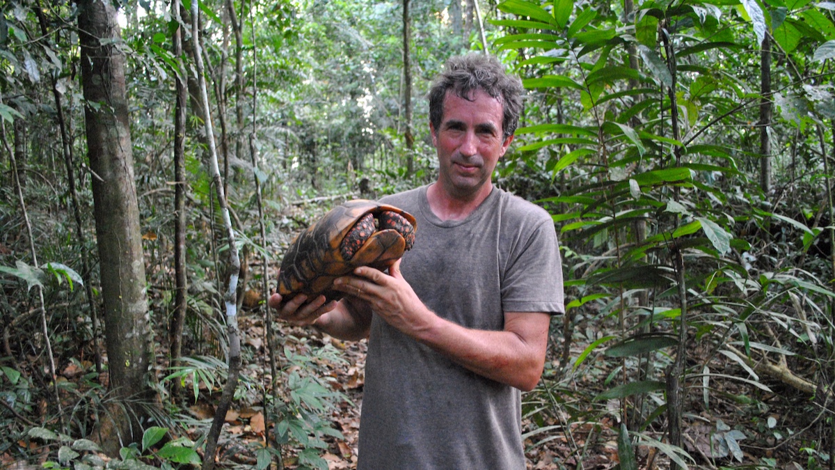 Turtle Conservancy Amazon Rainforest Fires