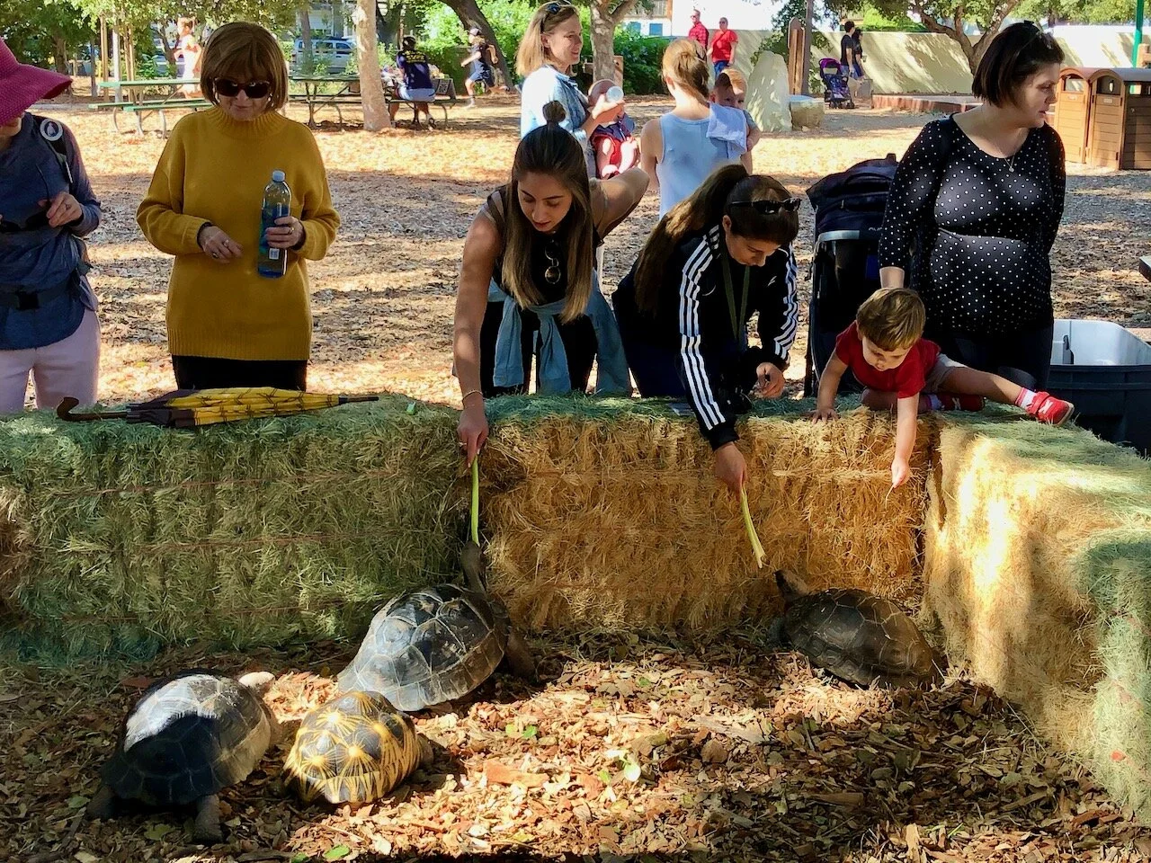 Turtle Conservancy — Ojai Day 2019