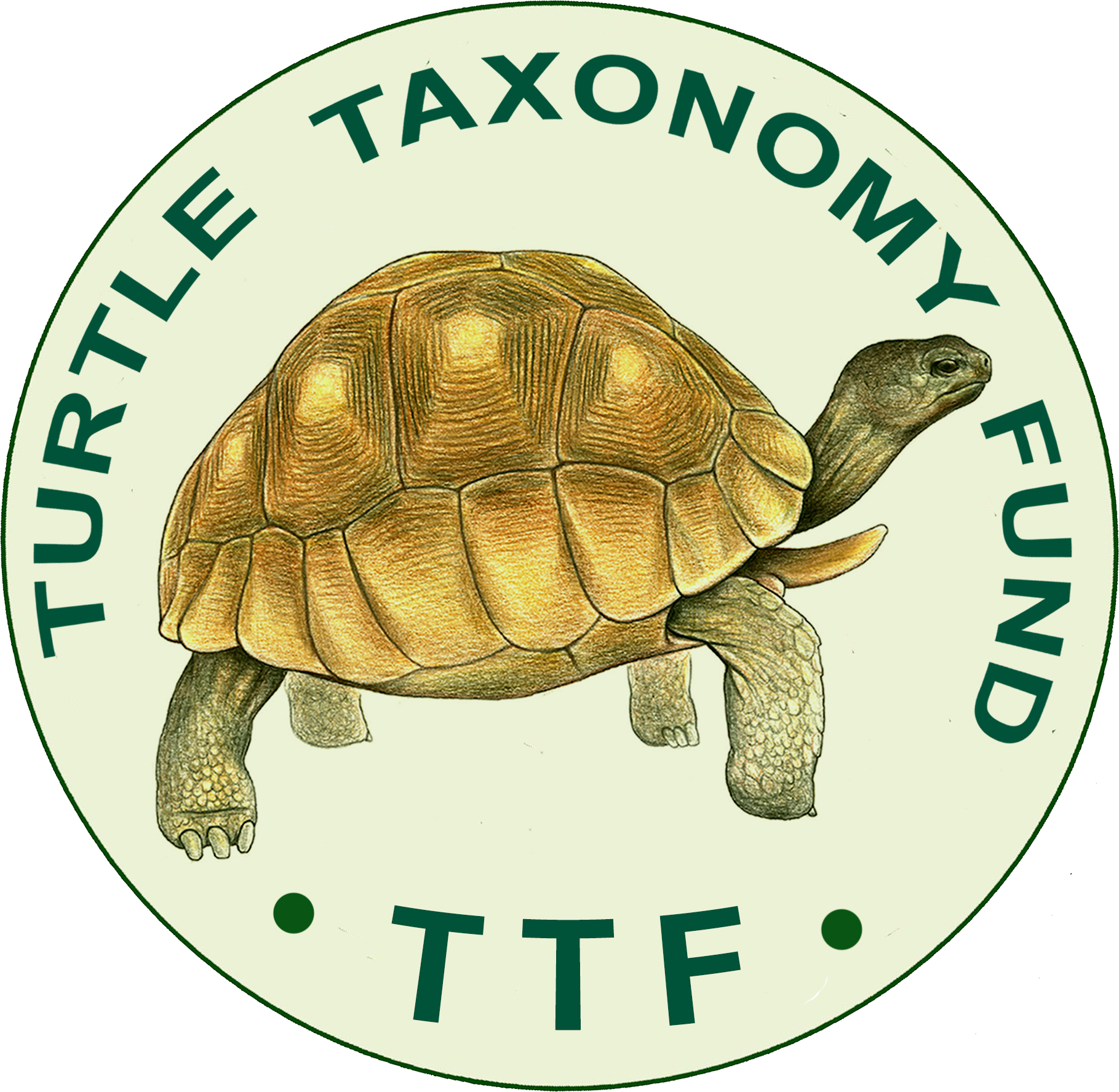 Turtle Taxonomy Fund (TTF)