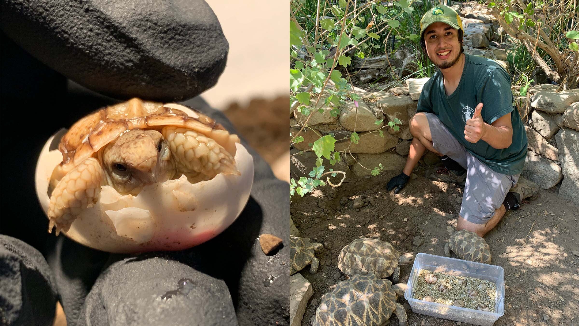 Turtle Conservancy
