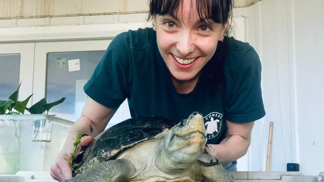 Safe Haven In New Jersey