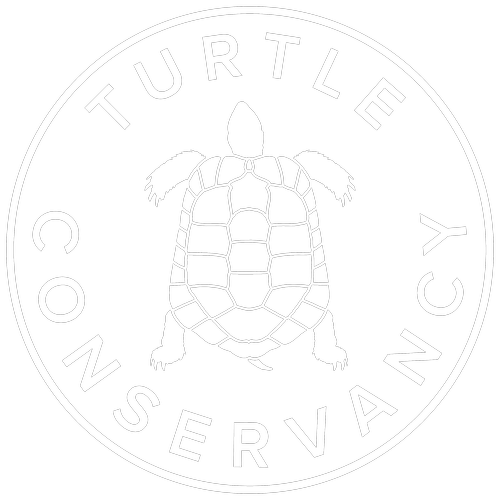 Turtle Conservancy Logo