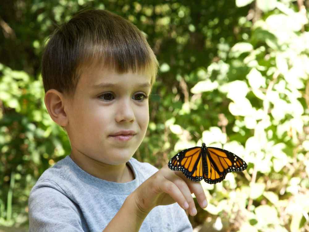 Ryan Hagerty, U.S. Fish and Wildlife Service, via Creative Commons.