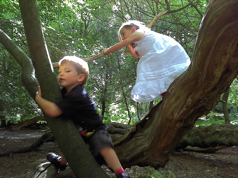 Photo by jimjarmo , via Creative Commons