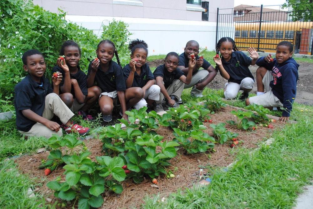 Whole Kids school gardeners. Photograph courtesy of Whole Kids Foundation.