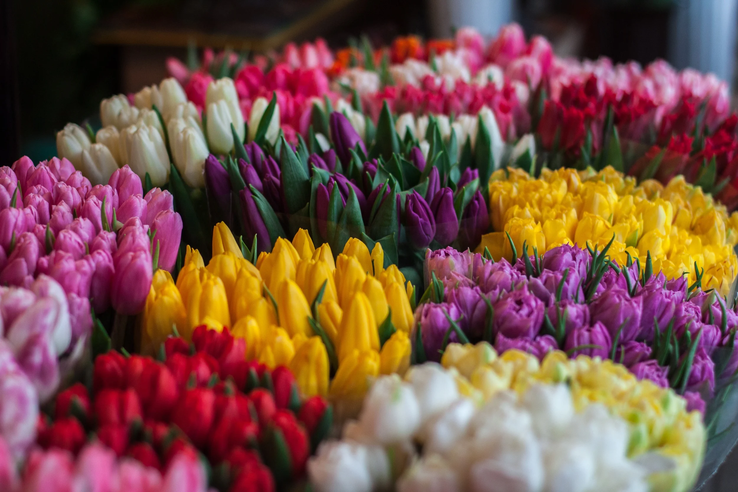 10 Refreshing Ways to Welcome Spring