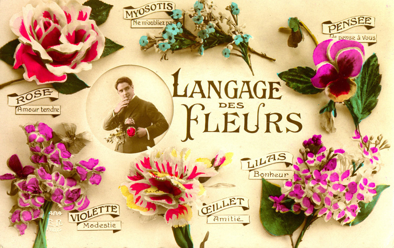 The Language of Flowers & What Different Types of Flowers Actually Mean —  Send flowers in Omaha