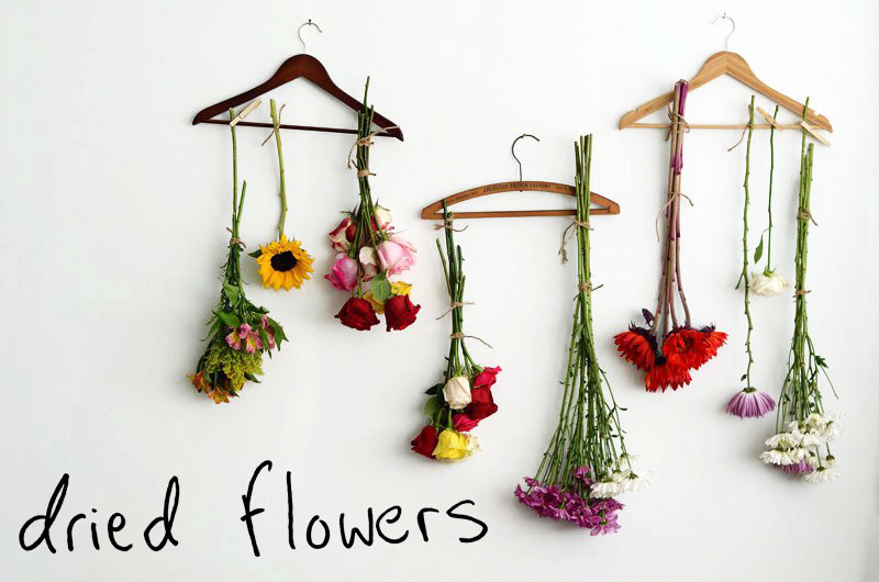 How To Dry Flowers