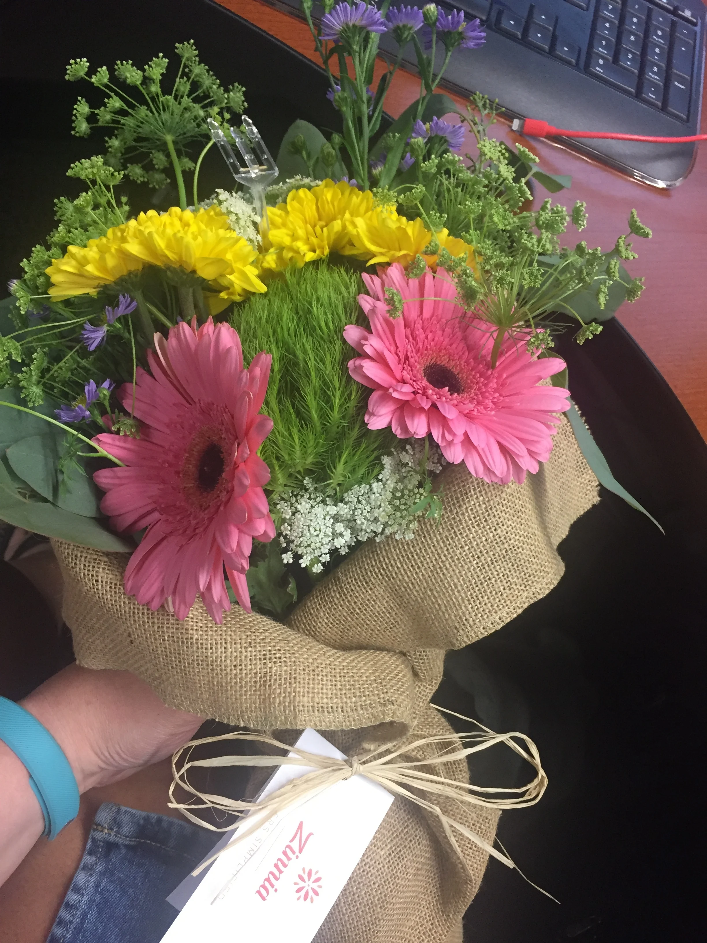 Your Zinnia Story - Meet Jane Beermann