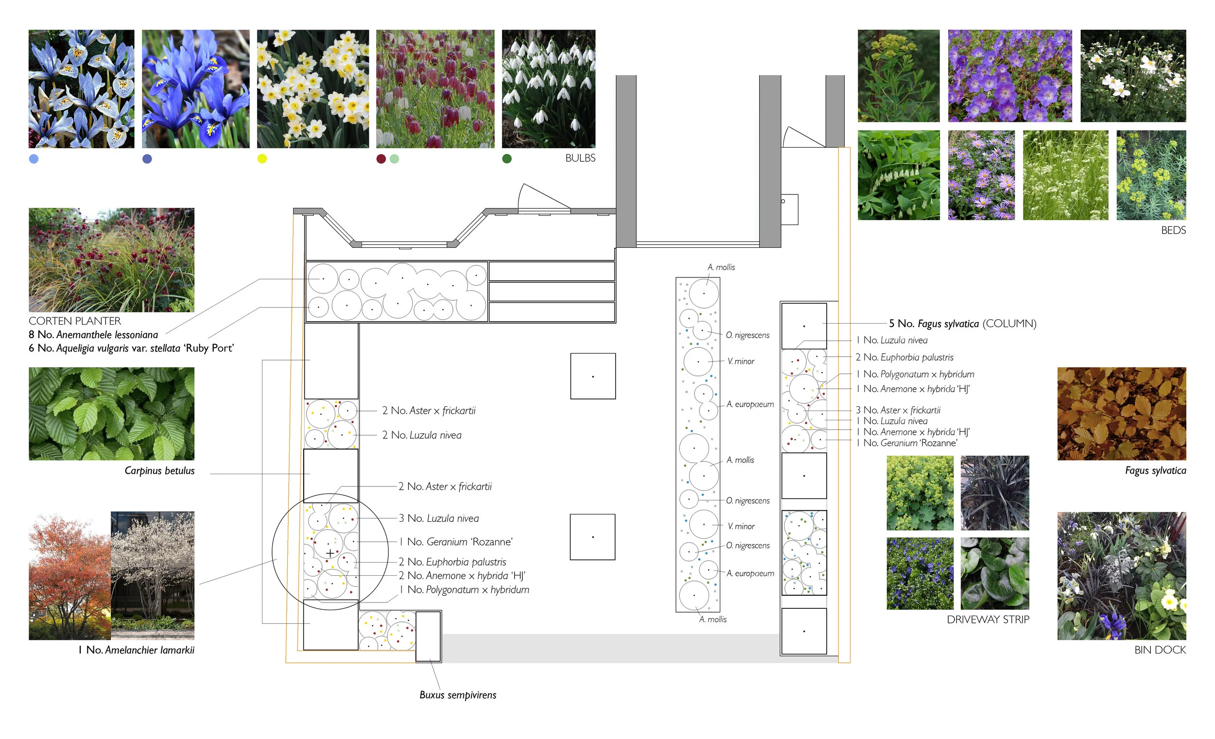 PLANTINGPLAN.jpg