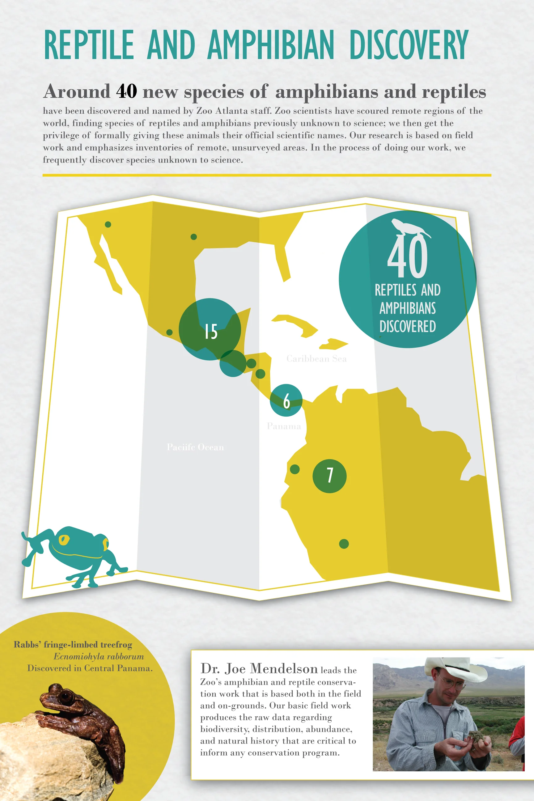 Herepetology Discover Infographic