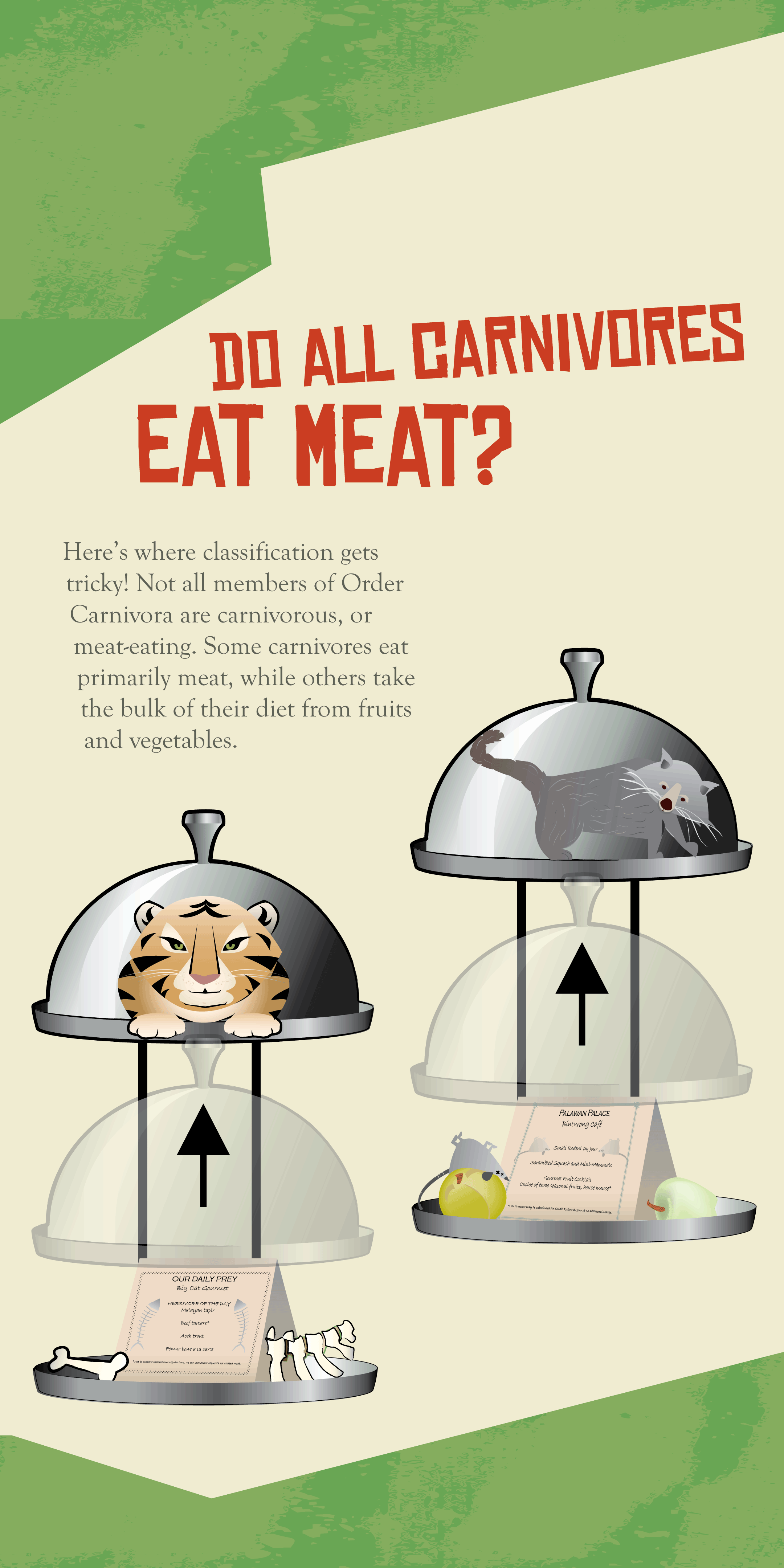 Complex Carnivore Interpretive Sign at Zoo Atlanta