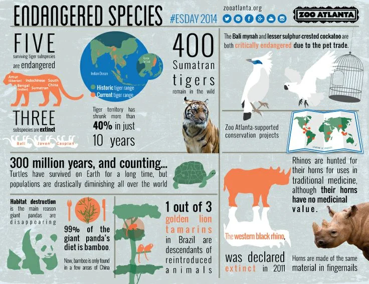 The 2014 Endangered species infographic for Zoo Atlanta