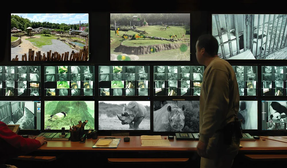 Zoo staff monitor the eye tracker and camera in real-time