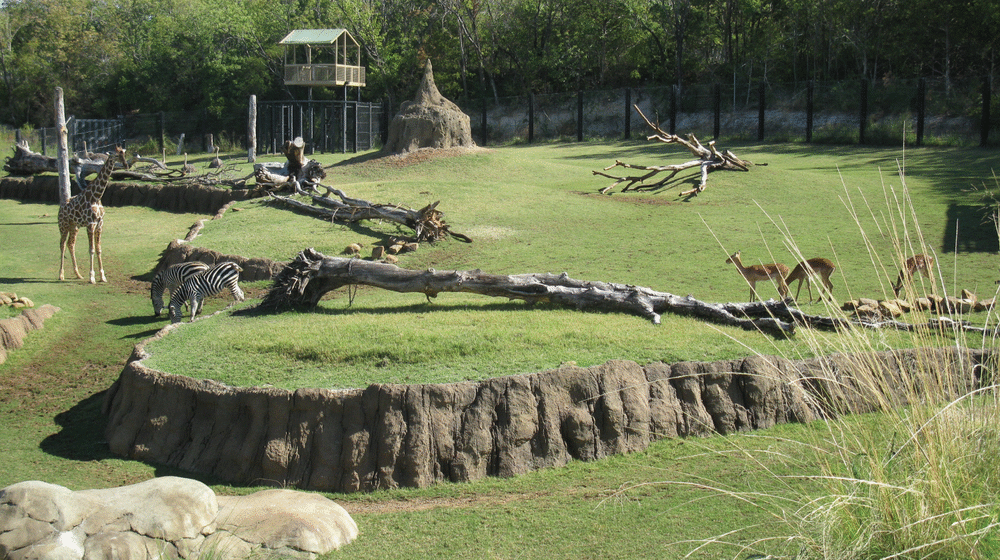 Rhino's habitat view, without heat map