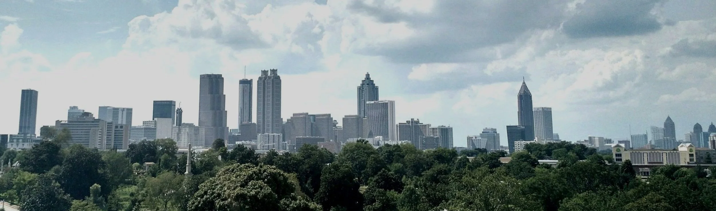 Atlanta's Tree Canopy Data Visualization — Becky Scheel