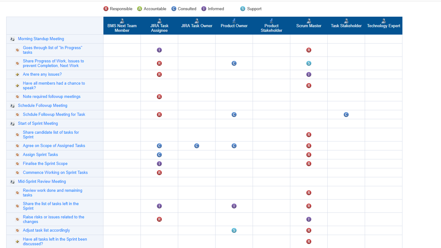 Example of RACI Matrix within the BMS
