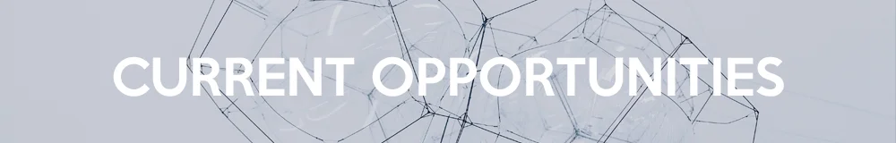 current opp header.jpg