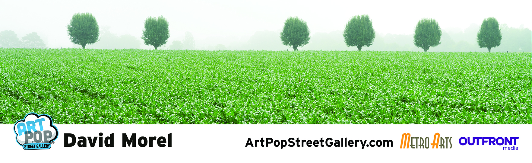 To contact artist, please email: Davidlmorel@gmail.com davidlmorel@gmail.com