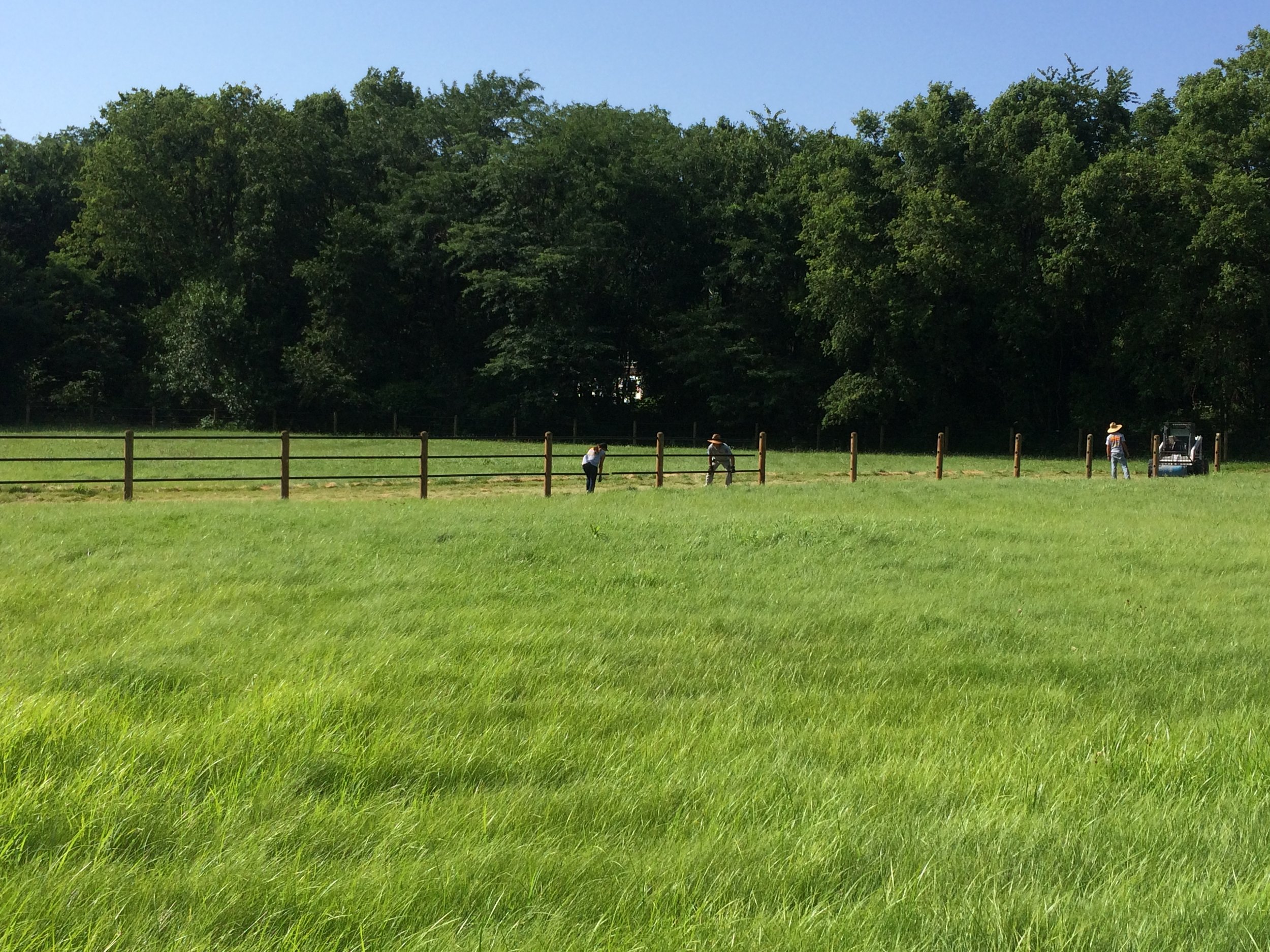 Roy & Son Fencing - Kansas City Fence Contractor