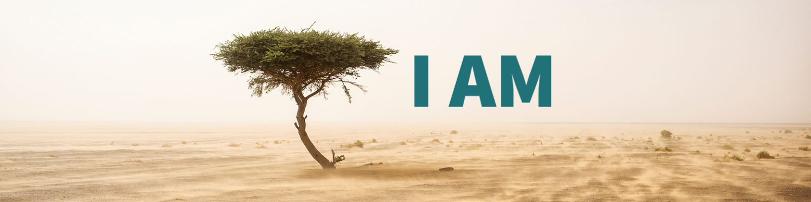 Jesus: The Great I AM