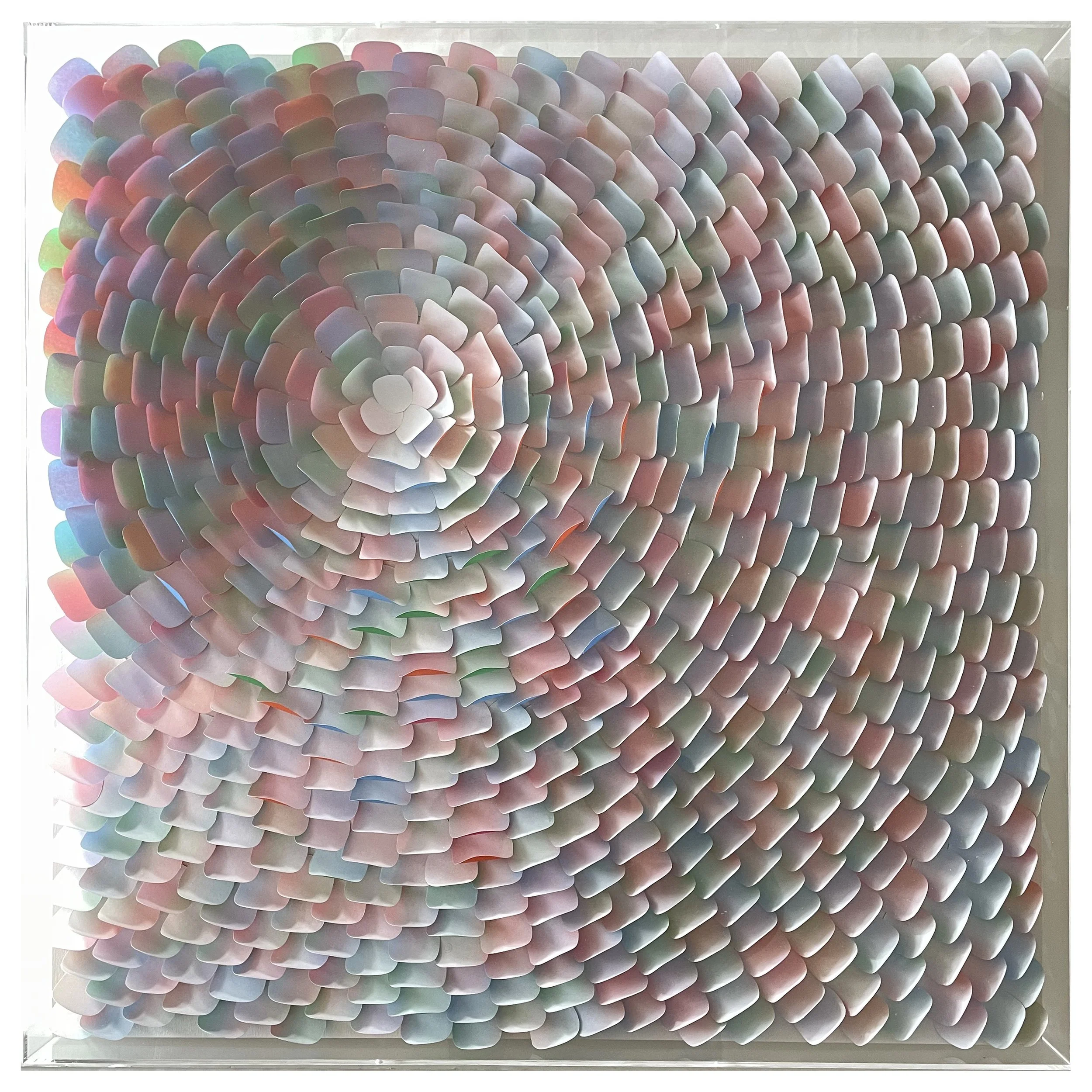 Grigio_KPWalnut Creek_2.jpg