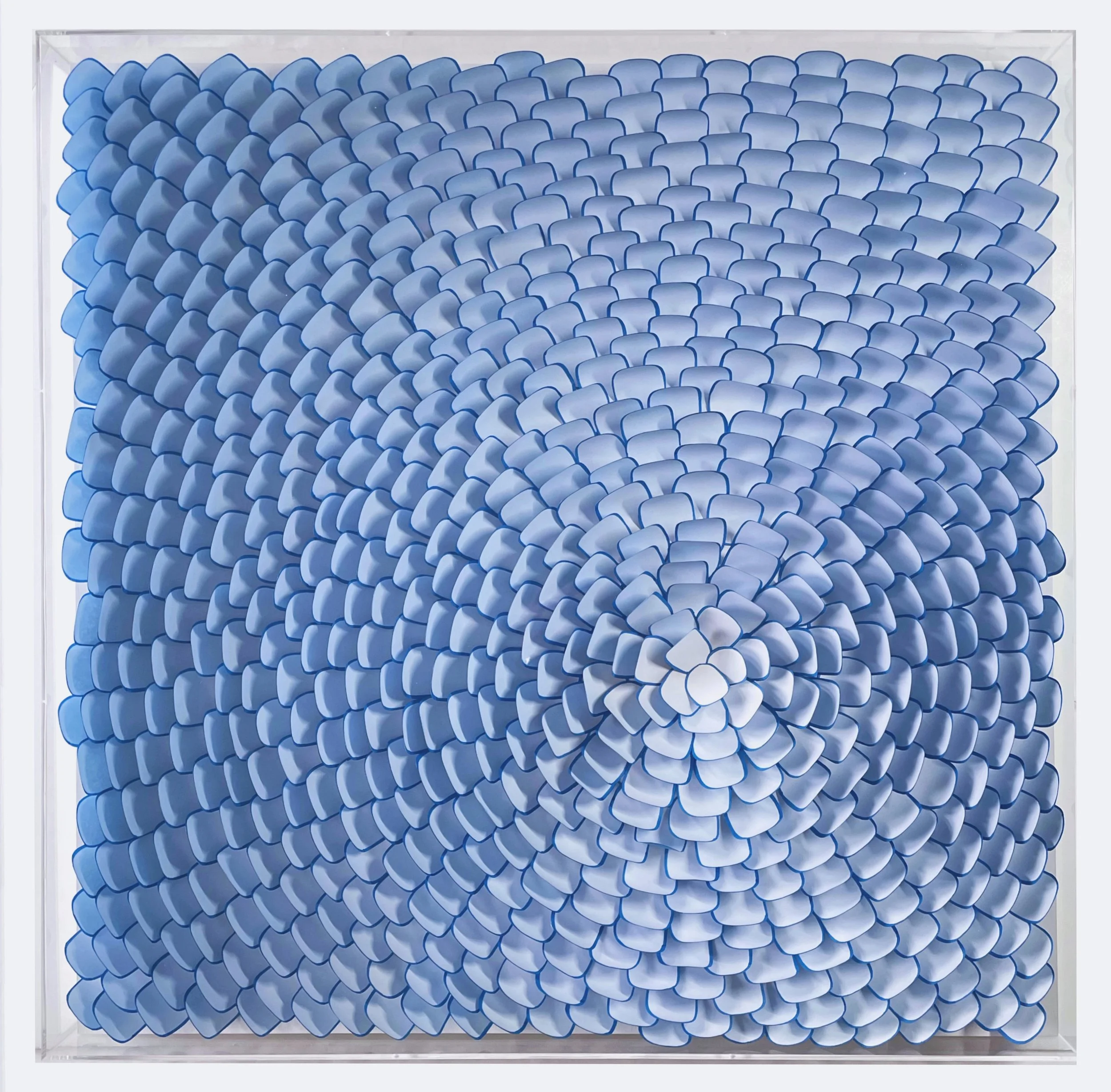 Grigio_KPWalnut Creek_1.JPG