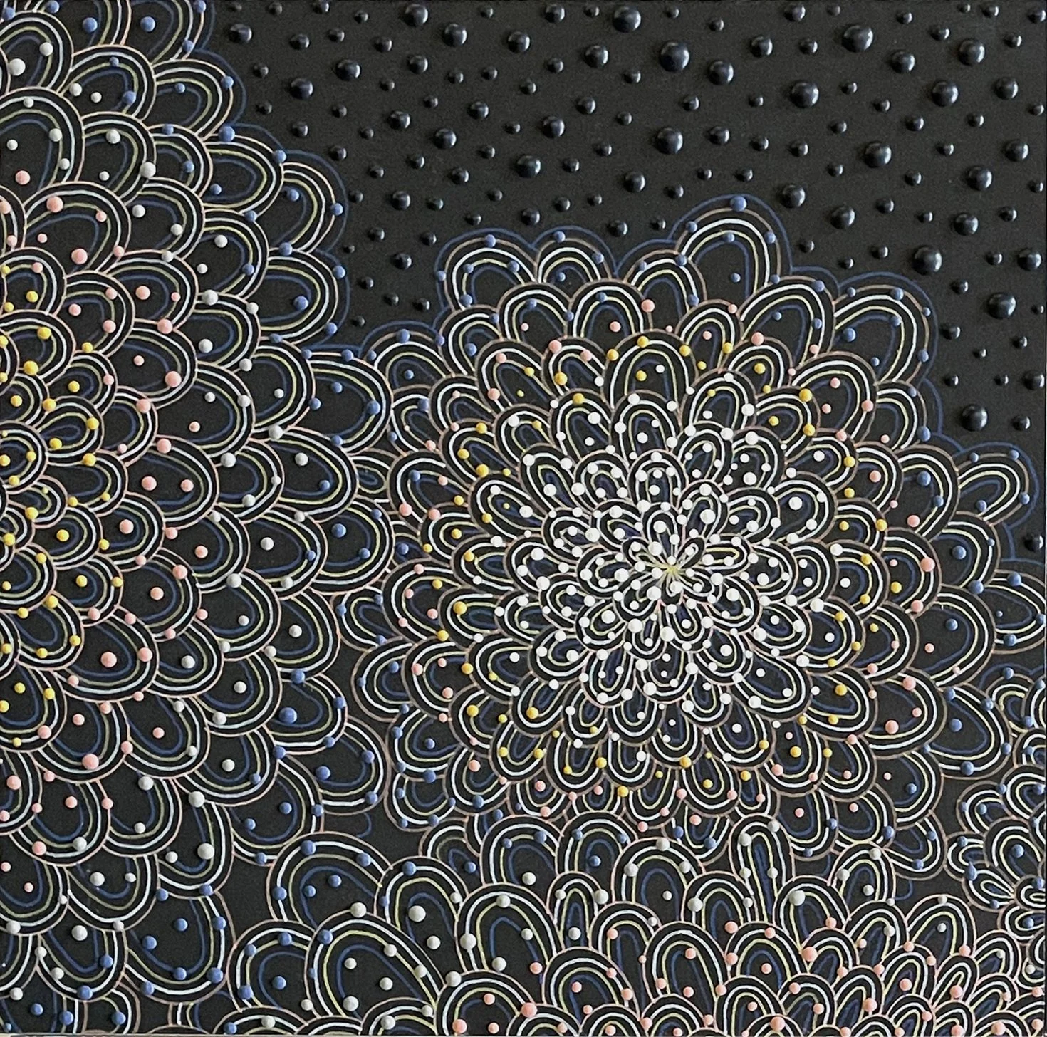 Dewy Raindrops 1.jpg