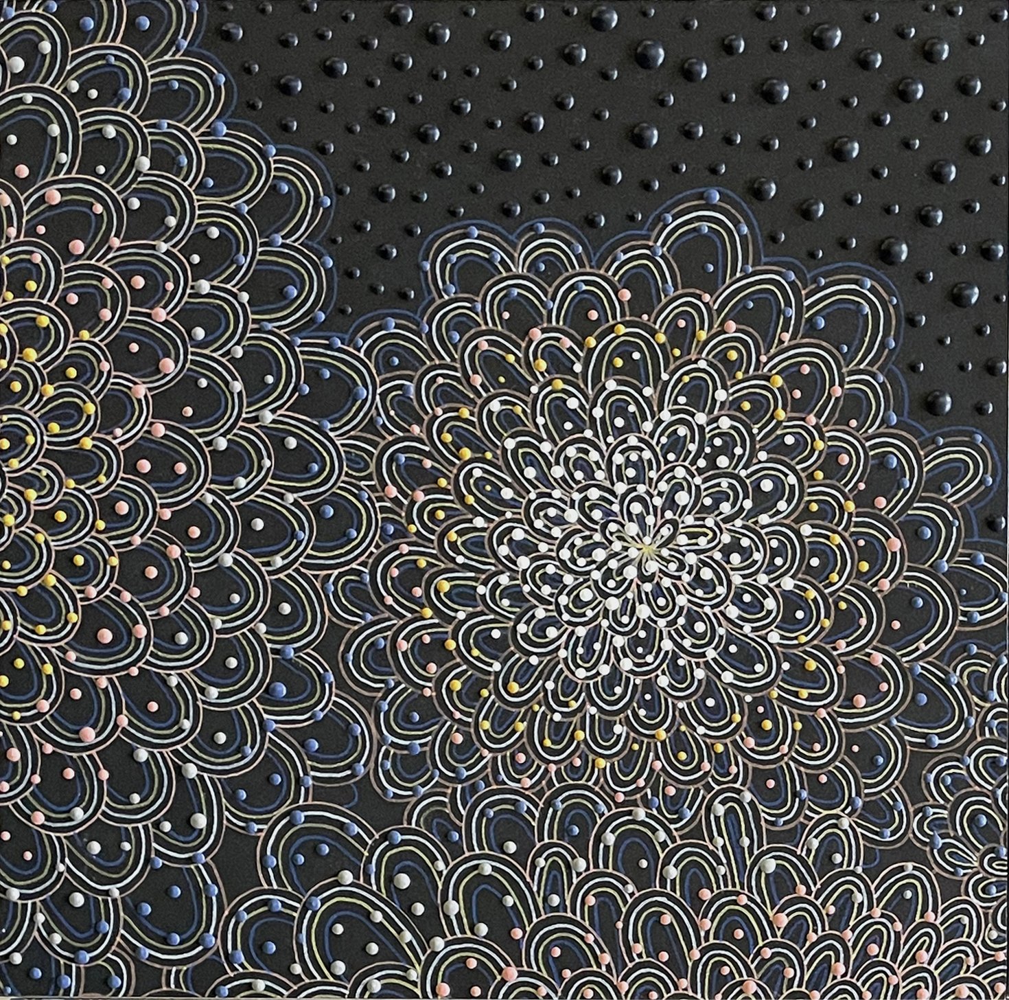 Dewy Raindrops 1.jpg