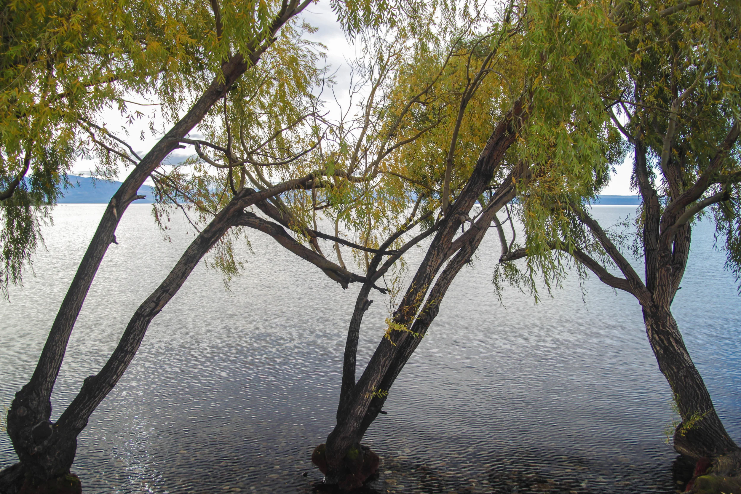 IMG_4926.jpg