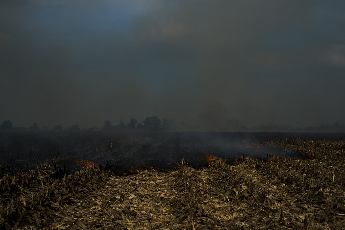 Corn Burning