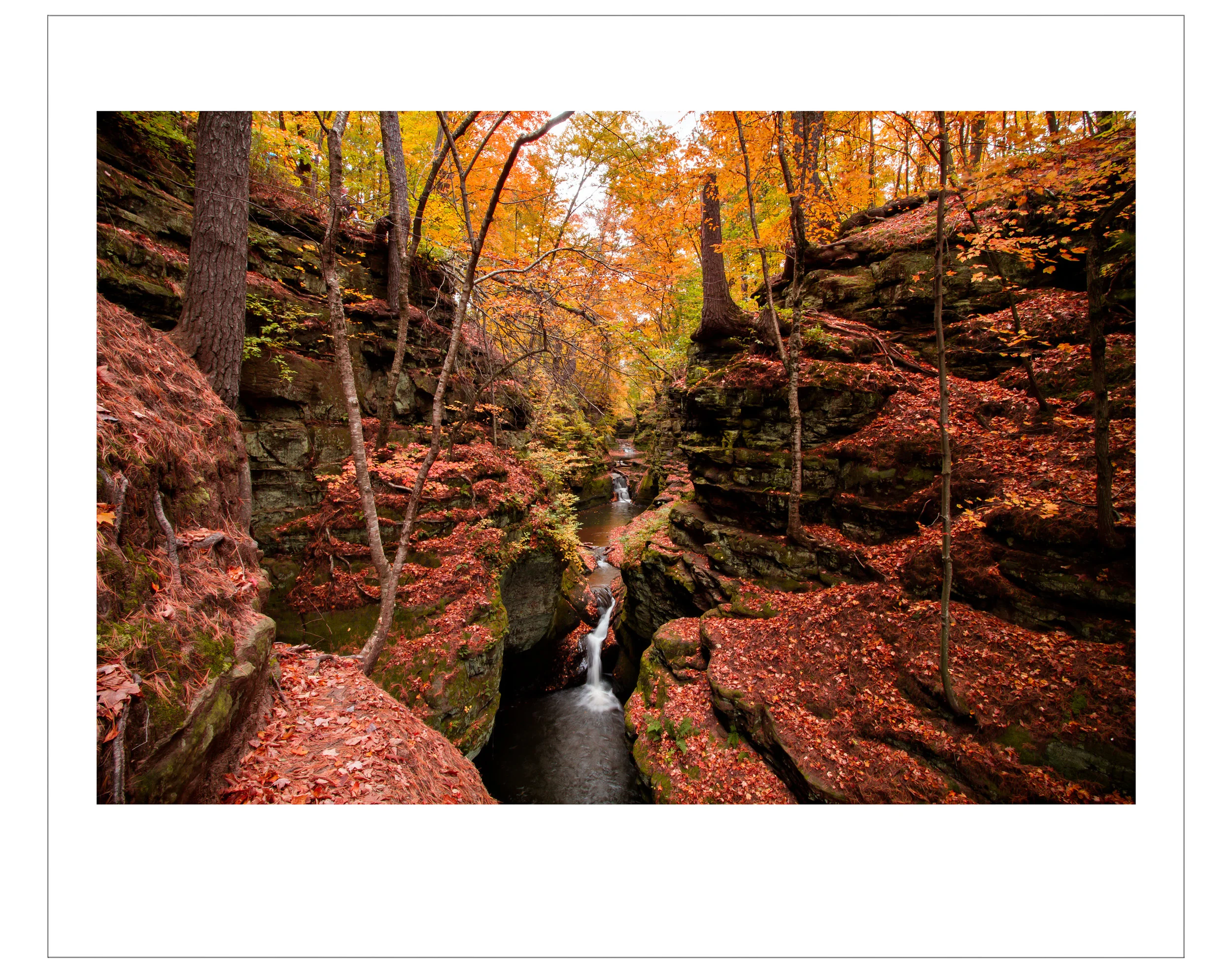 jhanphotos.jpg