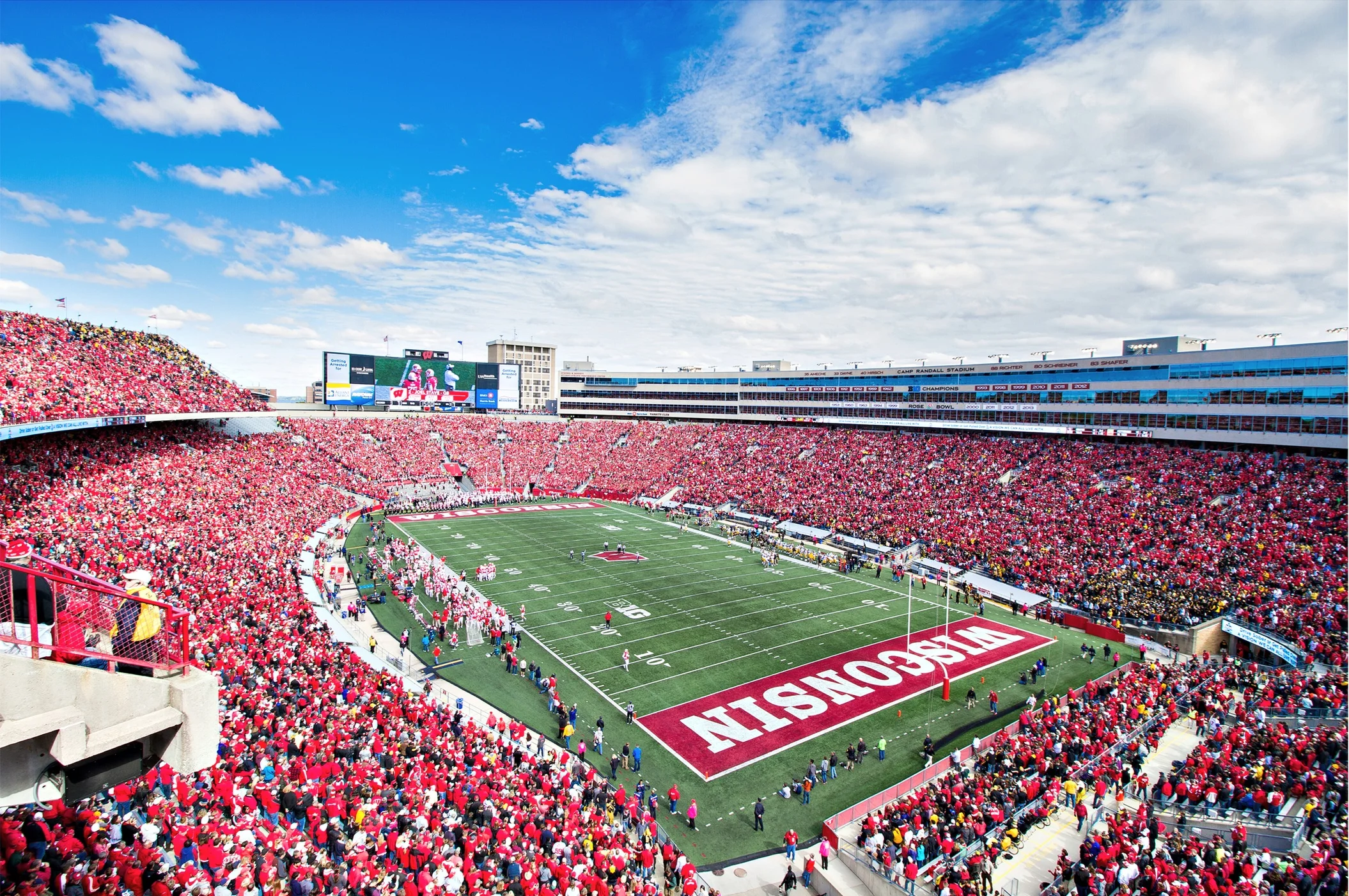 jhanphotos+badger-1.jpg