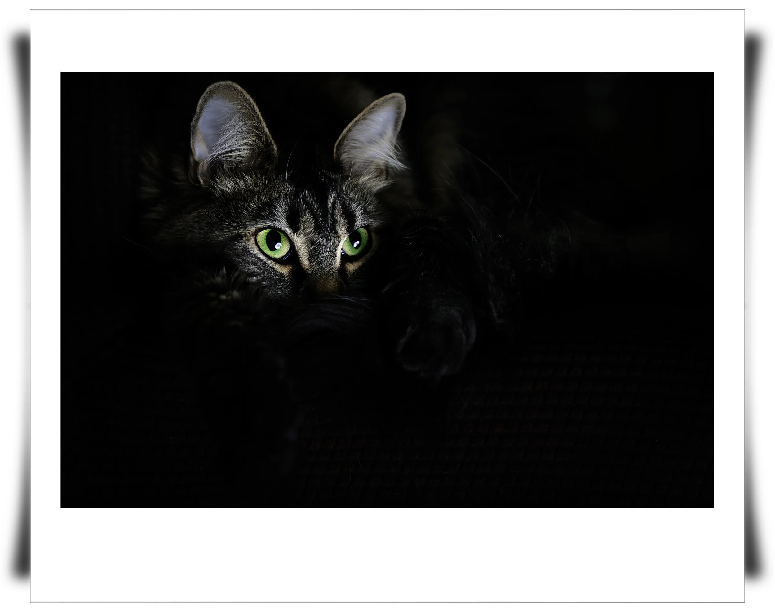 jhanphotos.jpg