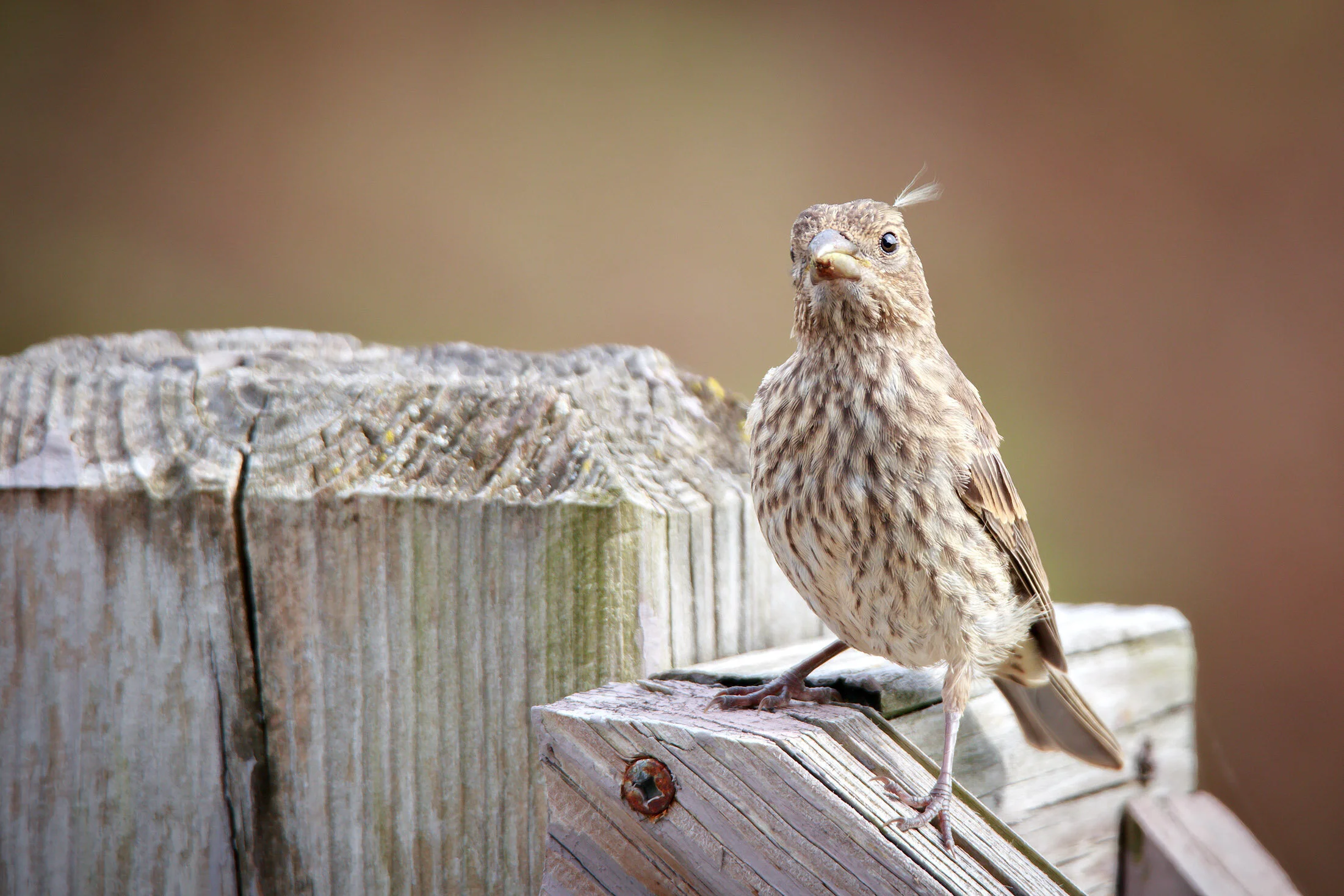 IMG_4838-Edit.jpg