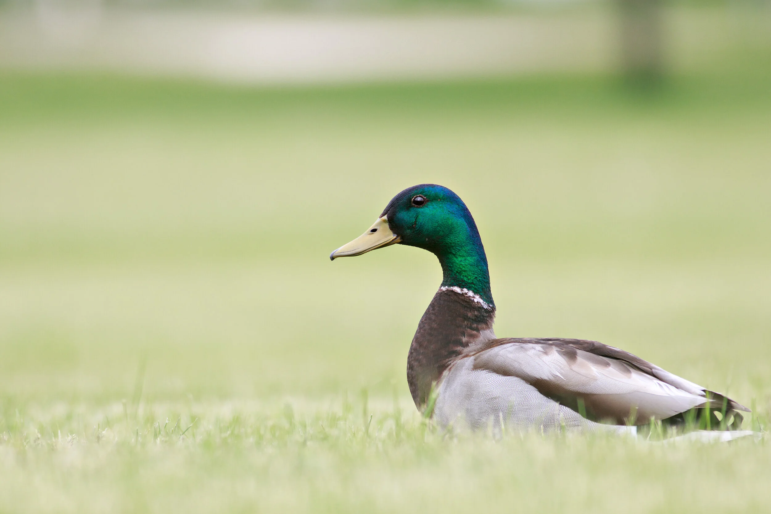 IMG_5615-Edit.jpg