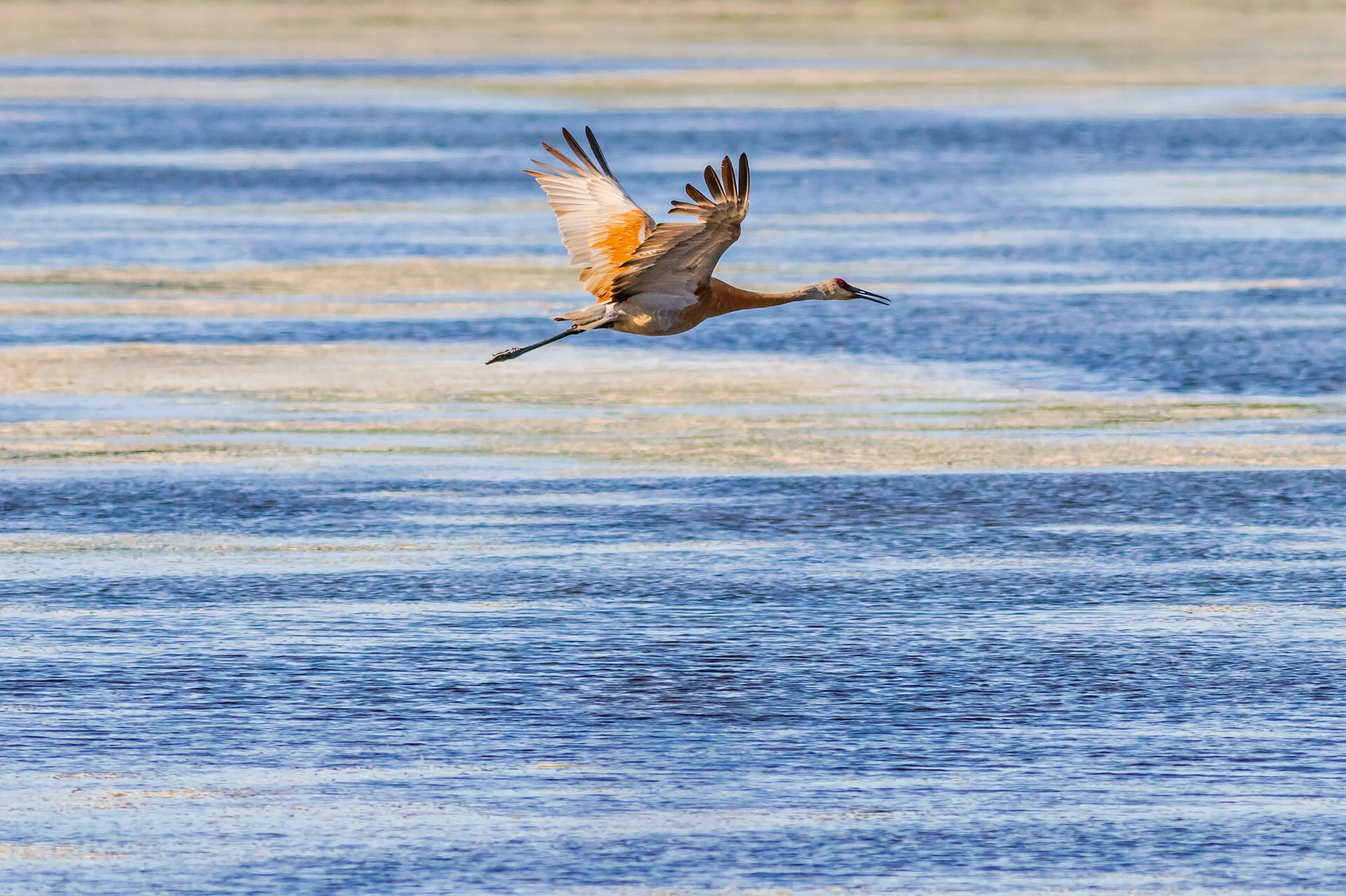 IMG_9894-Edit.jpg