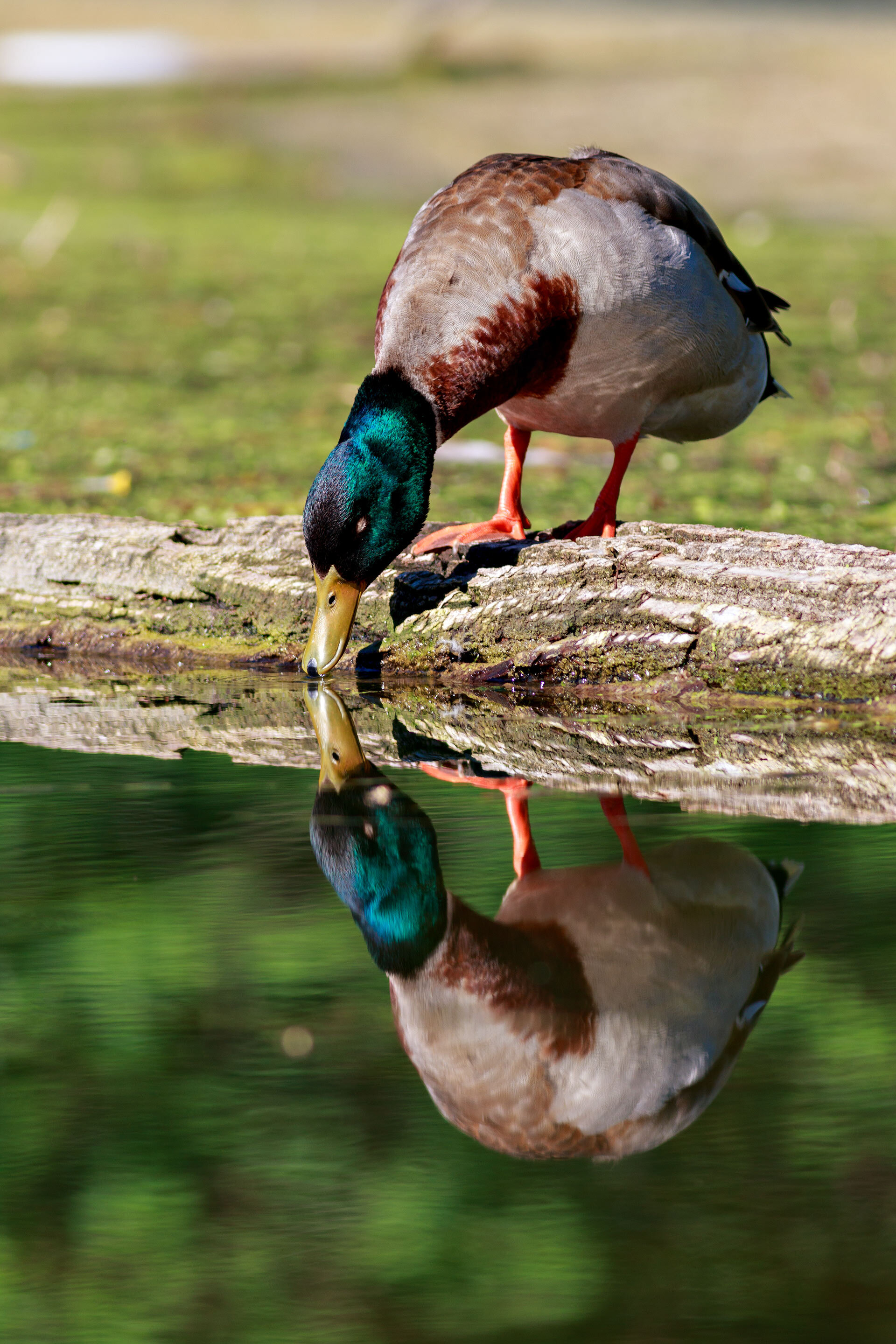IMG_8146-Edit.jpg
