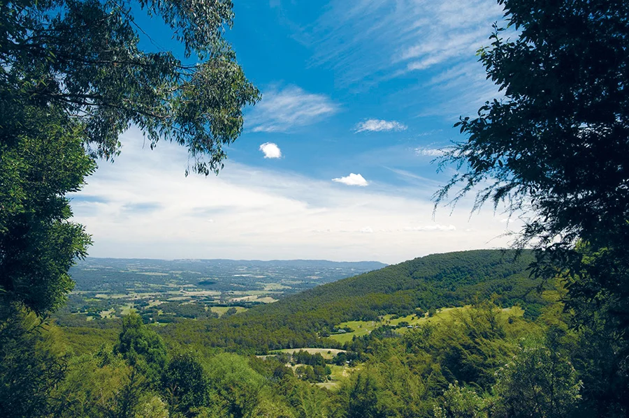 image4.jpg