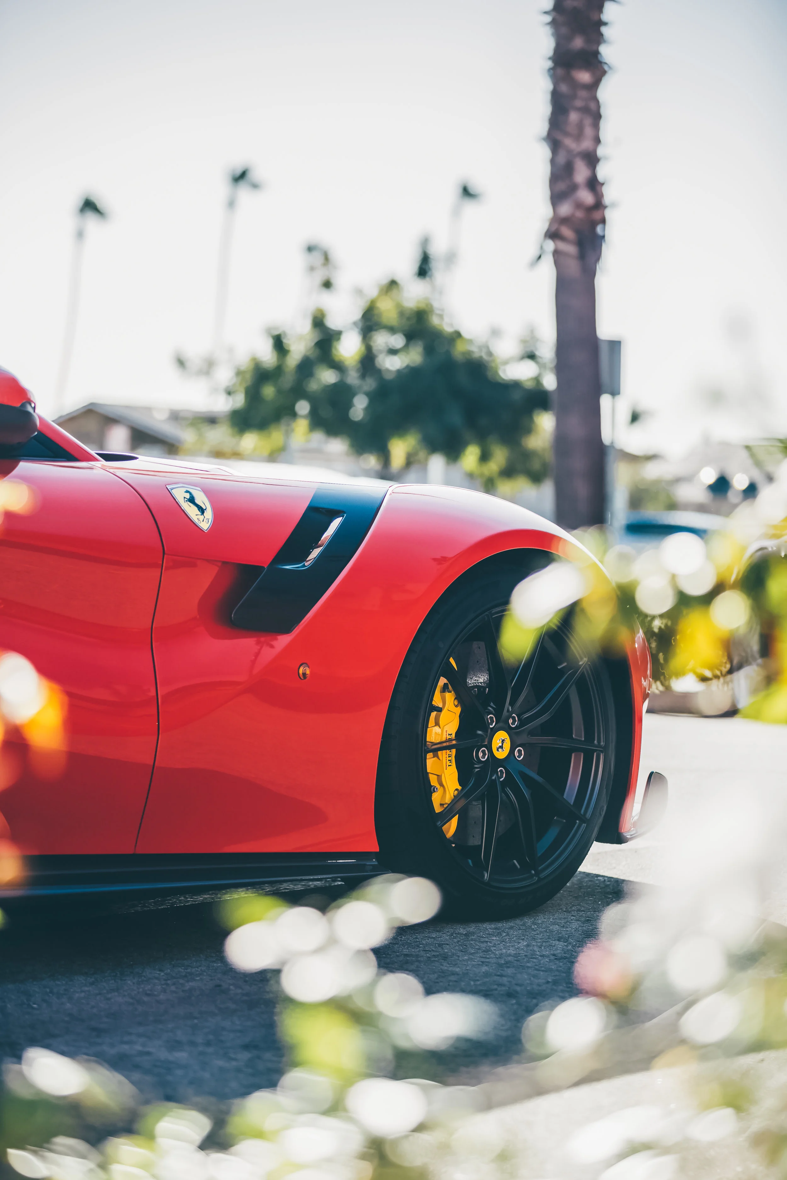 _F9A5742-Edit-2.jpg